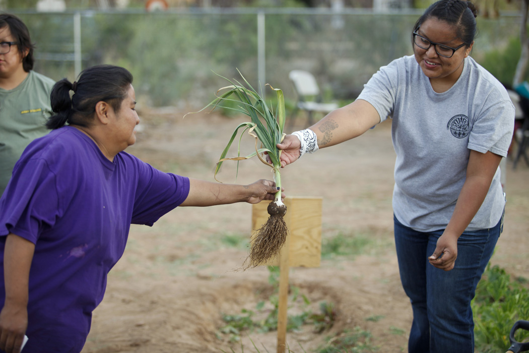 Brittany Gonzales, right, an intern at Tohono O'odham Community Action, educated parents about a garden at Indian Oasis Elementary School that was planted to teach students about healthier foods.