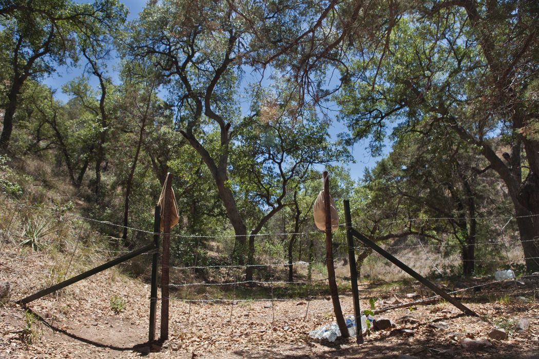 Volunteers hung the supplies on fences