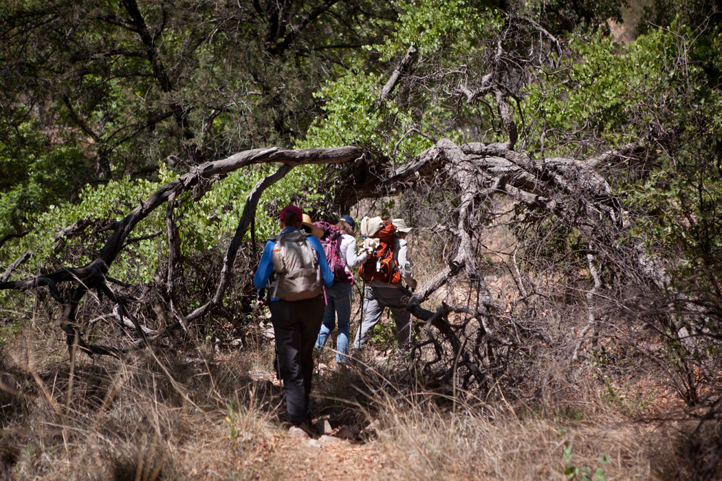 Tucson Samaritans volunteers