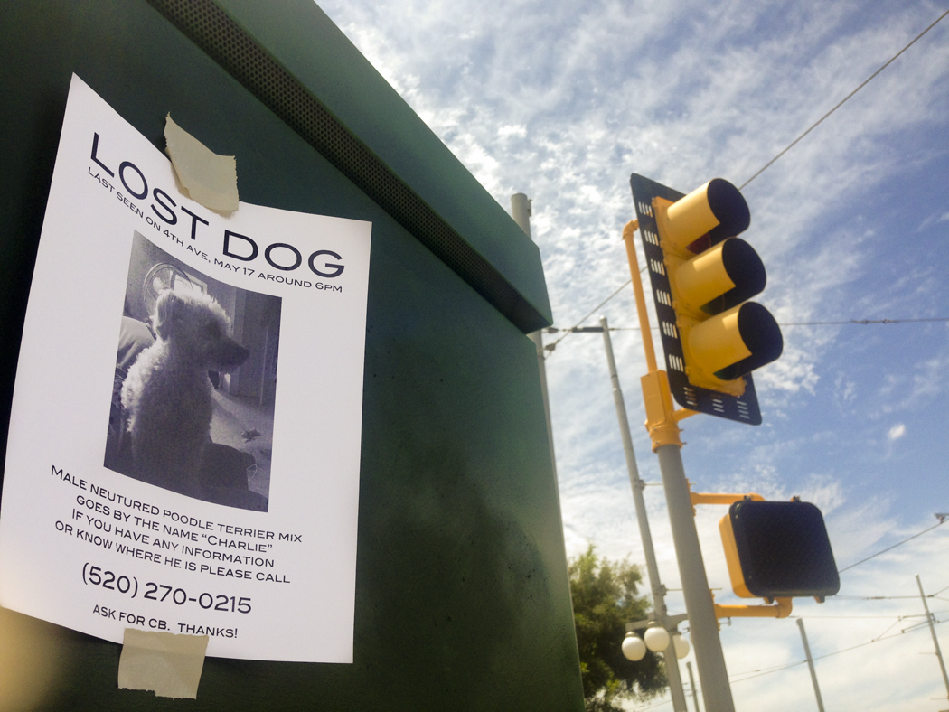 A flier about a lost dog.